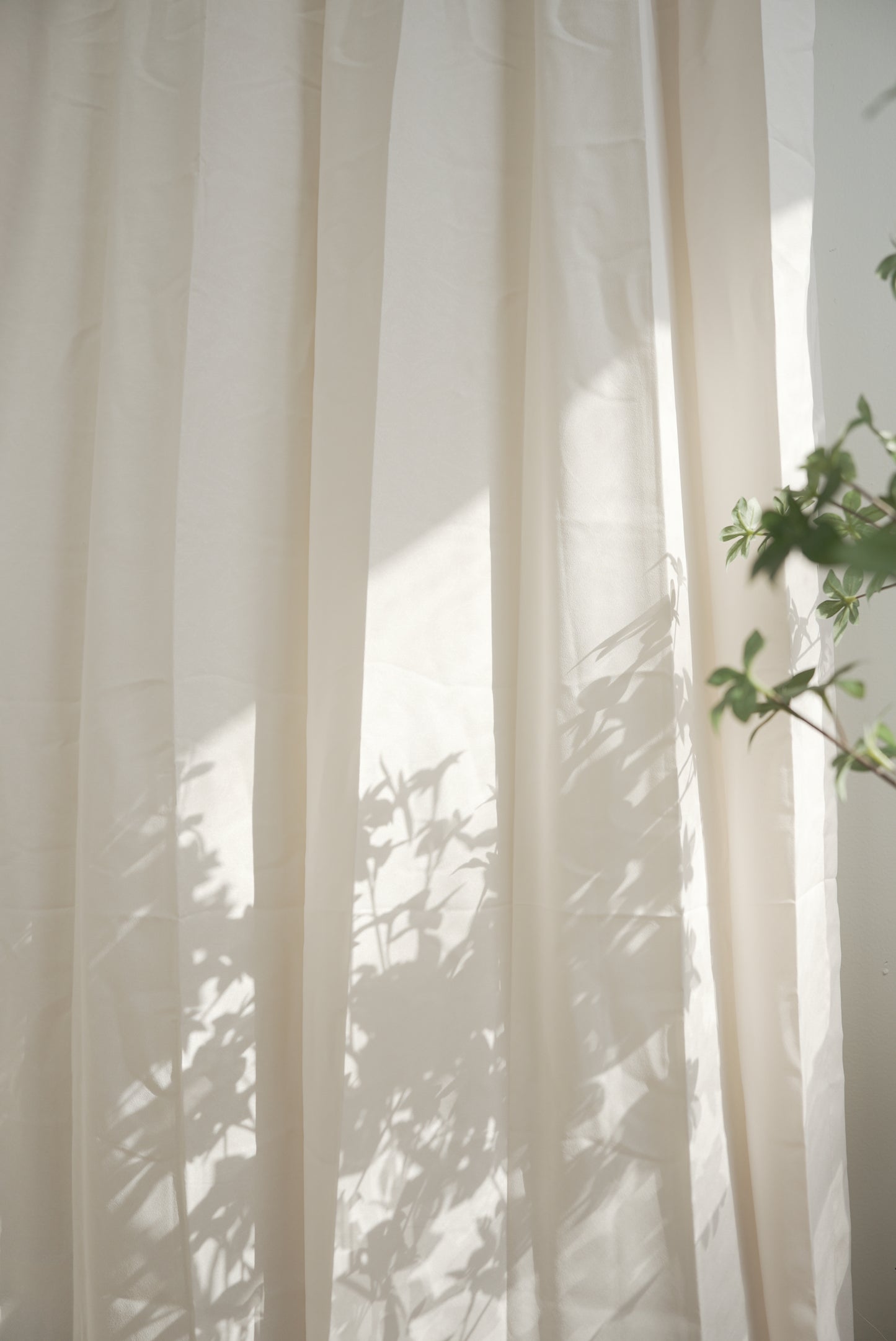 Boho Cream Sheer Curtains – Milky Tea Hue for Calming Spaces